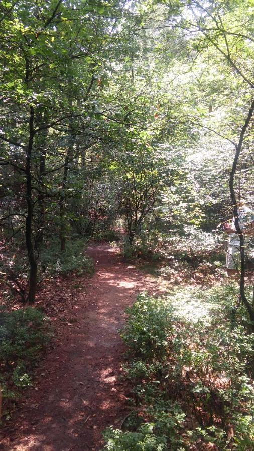 Poort Van De Veluwe Фортайзен Екстериор снимка