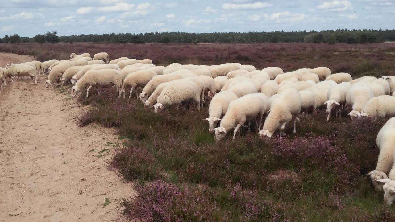 Poort Van De Veluwe Фортайзен Екстериор снимка