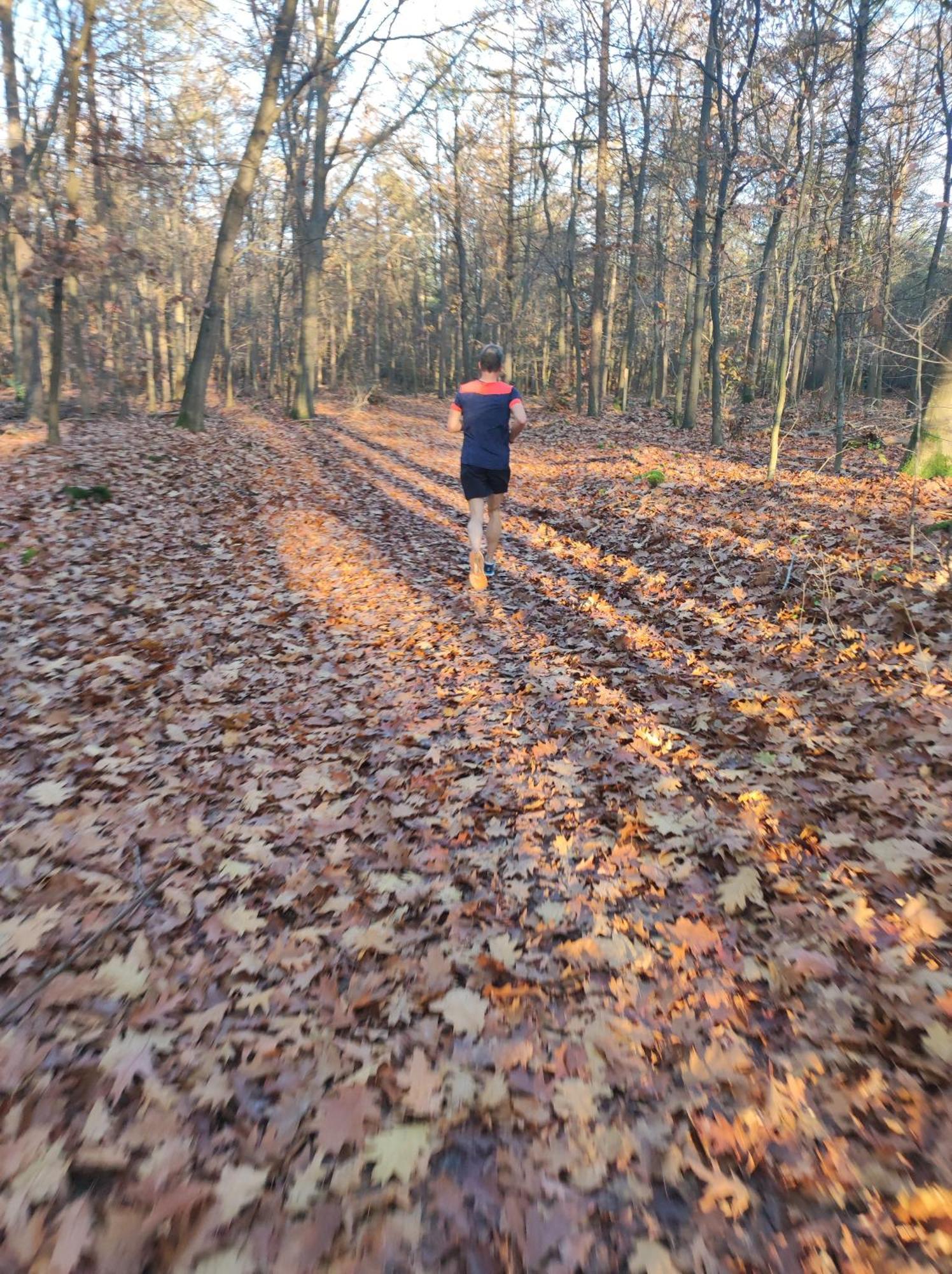 Poort Van De Veluwe Фортайзен Екстериор снимка